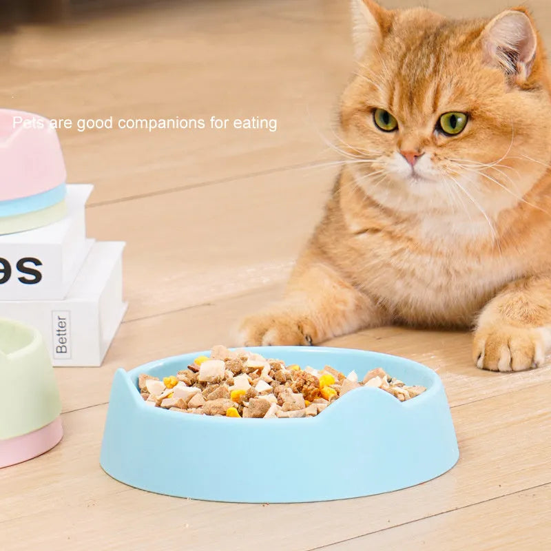 Ceramic dog slow feeder bowl with maze design in blue, green, or pink colours for fast-eating puppies