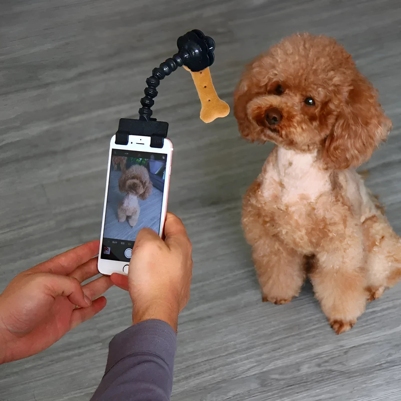 Black plastic pet photography tool with treat clip and phone holder, shown rotated to adjust angle.