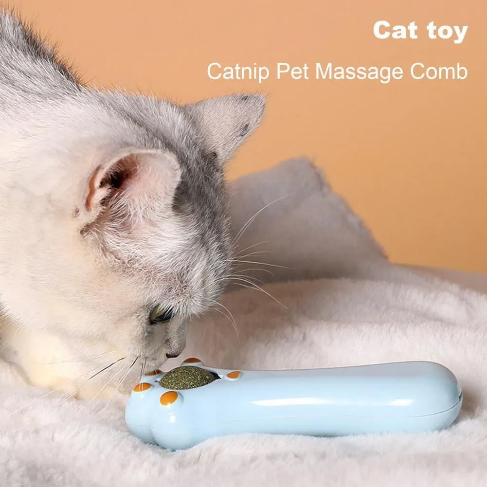 Dual-purpose cat massage comb and dental cleaning toy in assorted colours with rounded teeth
