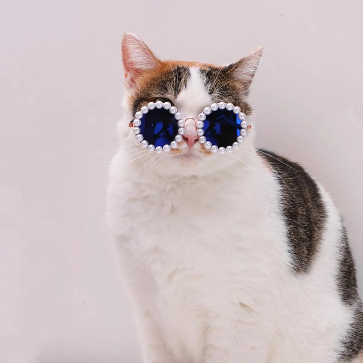 Pearl-rimmed round sunglasses for cats and dogs in multiple colours on a festive background.