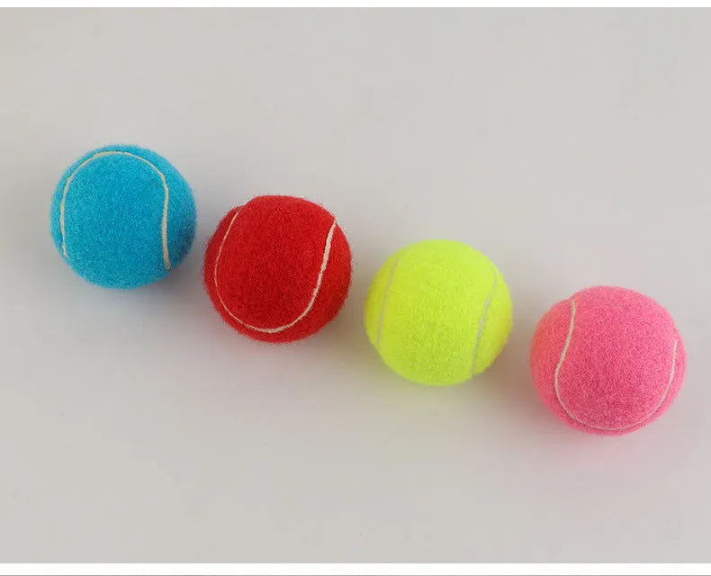 Bite-resistant rubber tennis ball dog toy 6.3cm diameter in five colour options