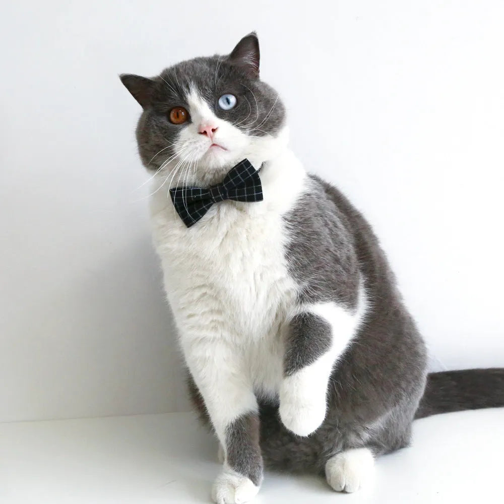 British-style woolen felt pet hair band and matching bow tie set for small to medium pets