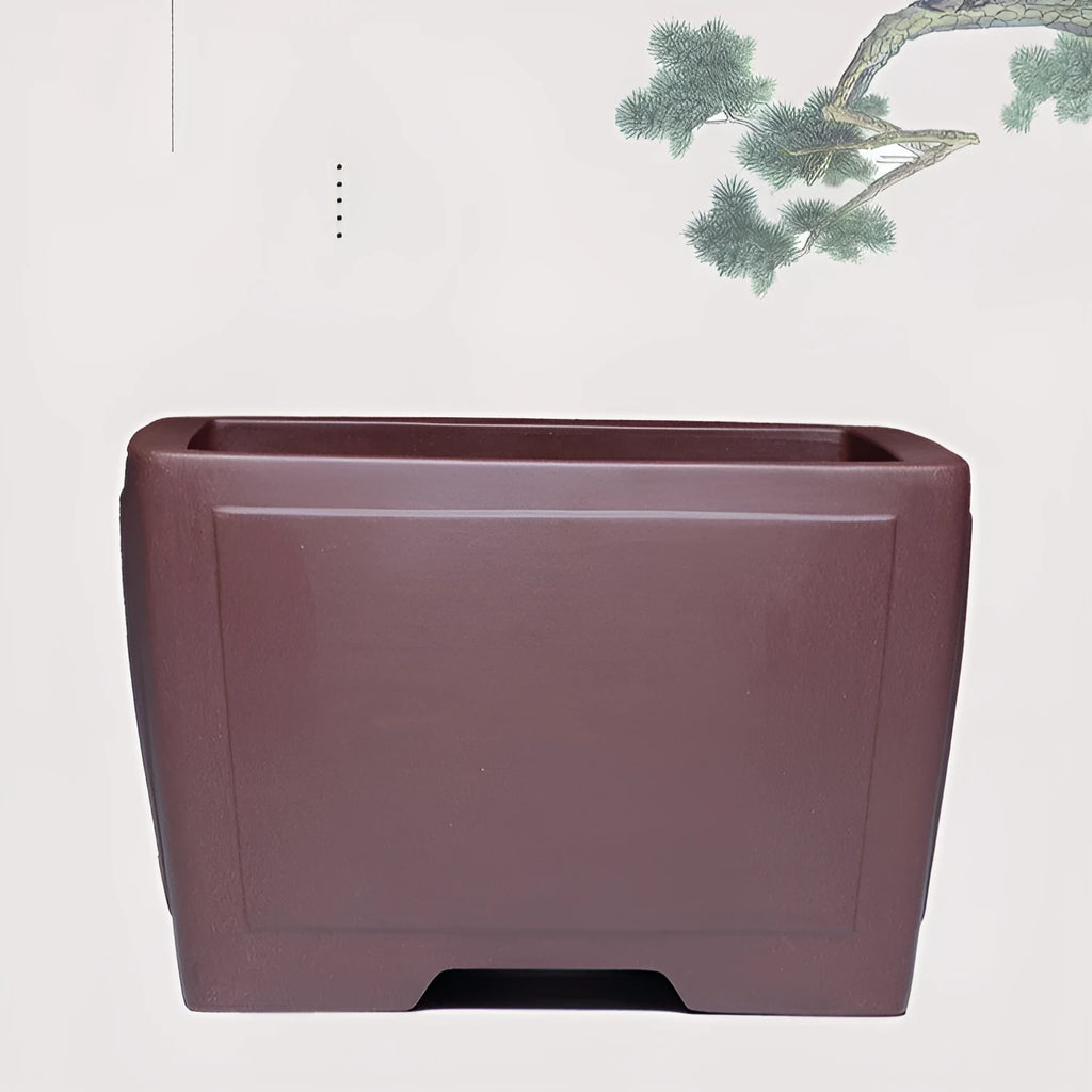 Square purple clay succulent bonsai pot in classical style on tabletop