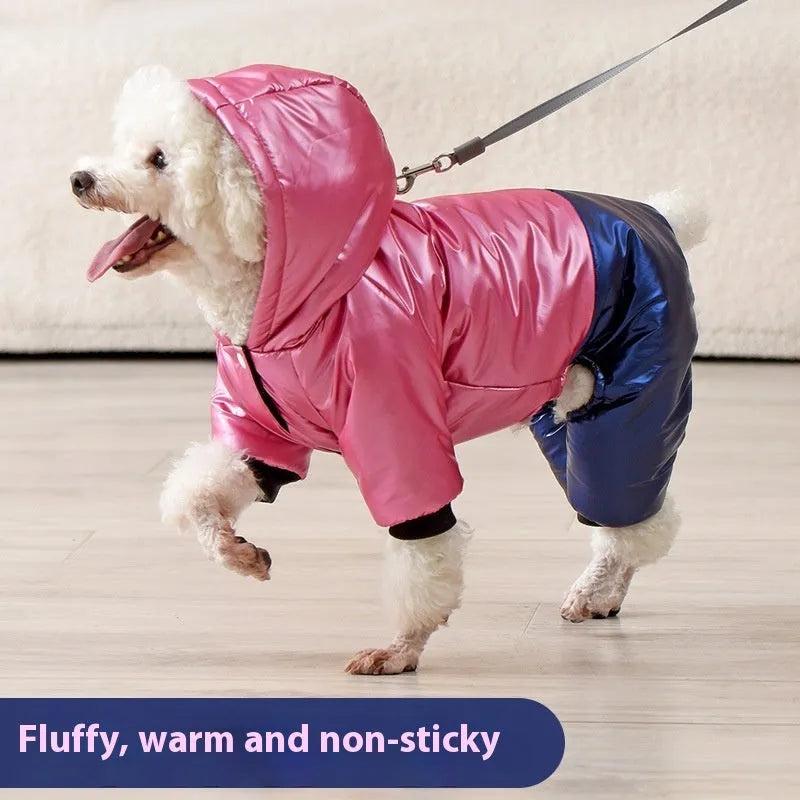 Green waterproof cotton-padded dog coat with four-legged design on medium-sized dog