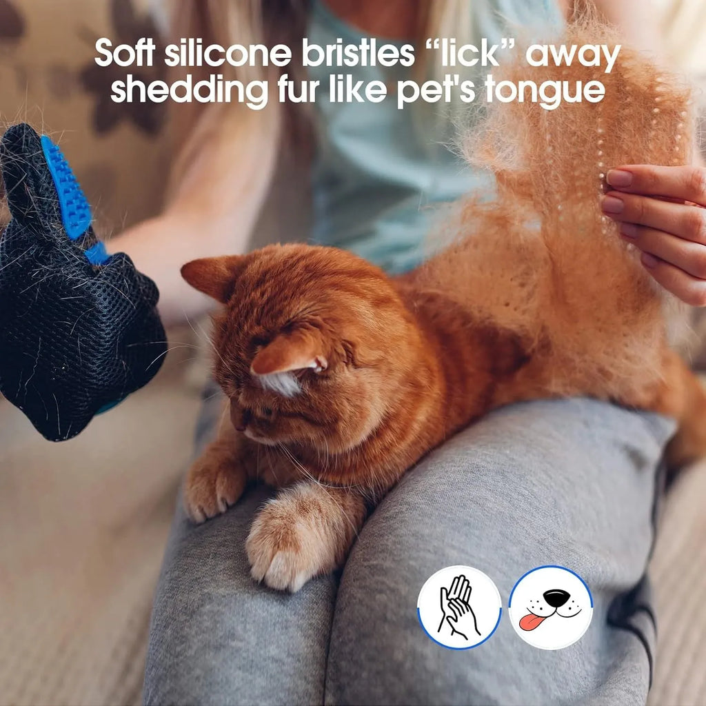 Blue pet grooming gloves with silicone tips for dog cat horse hair removal