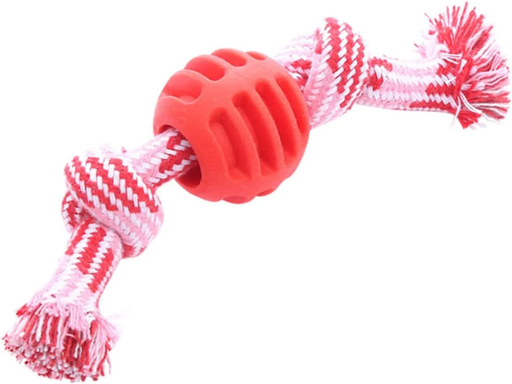 Blue and rope dog dental chew toy for teeth cleaning and interactive play