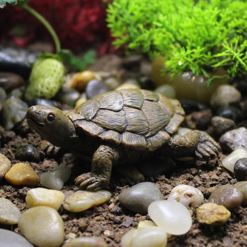 Resin simulation turtle garden decoration ornament with realistic colouration