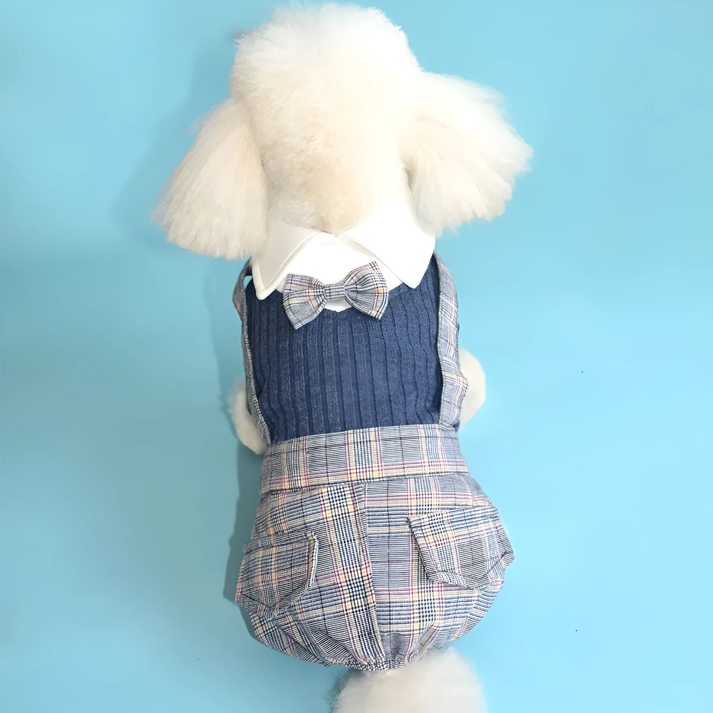Orange and dark blue cotton dog suit shirts shown in sizes S through 2XL for small dogs