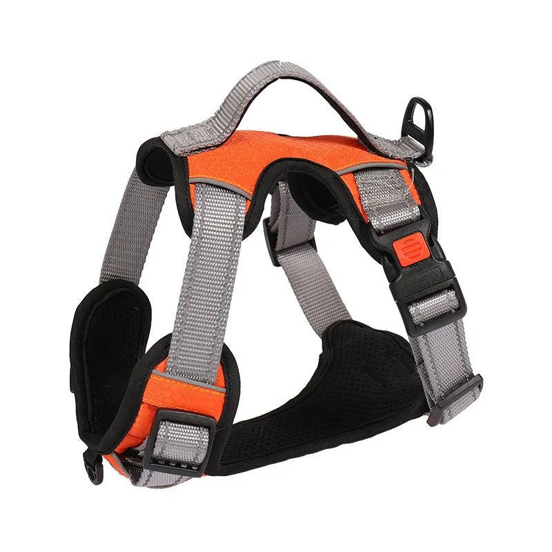 Orange polyester dog harness chest strap with hand holding rope, shown on a medium-sized dog.