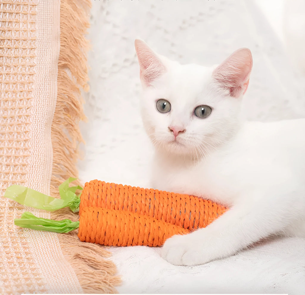 Carrot-shaped paper toys, plastic ringing stones, and textured cat sticks for interactive pet play