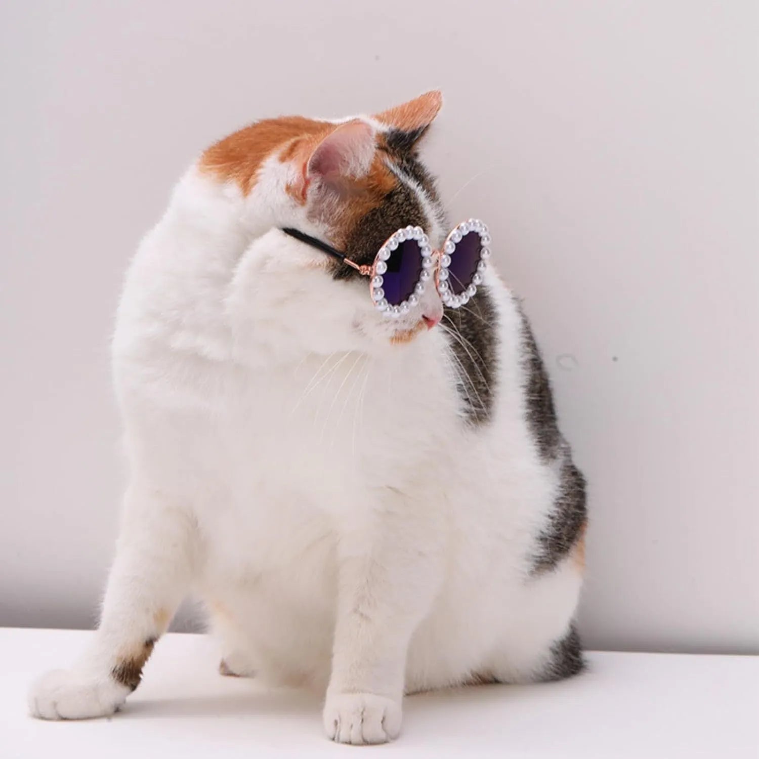 Pearl-rimmed round sunglasses for cats and dogs in multiple colours on a festive background.