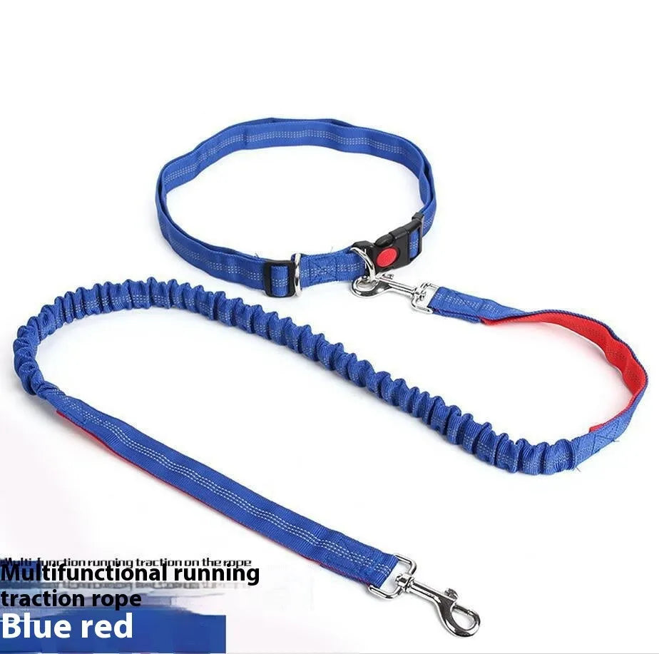 Grey and green reflective elastic dog leash showing 2.5cm width and nylon construction