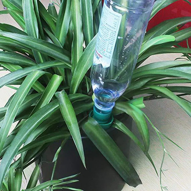 Green ceramic automatic plant watering dripper designed for use with a cola bottle.