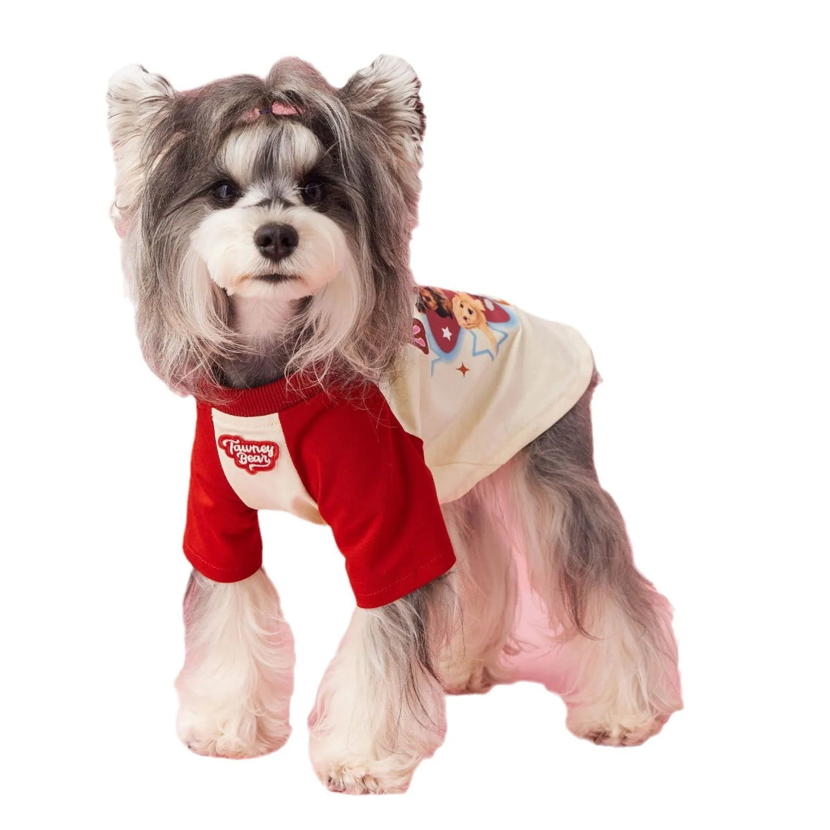 Red embroidered cotton summer dog clothing on a small dog, showing lightweight design.