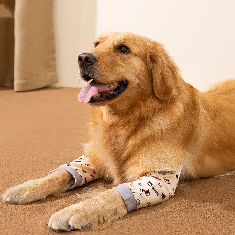Blue dog knee protector with adjustable straps and matching scarf on a medium-sized dog’s front leg.