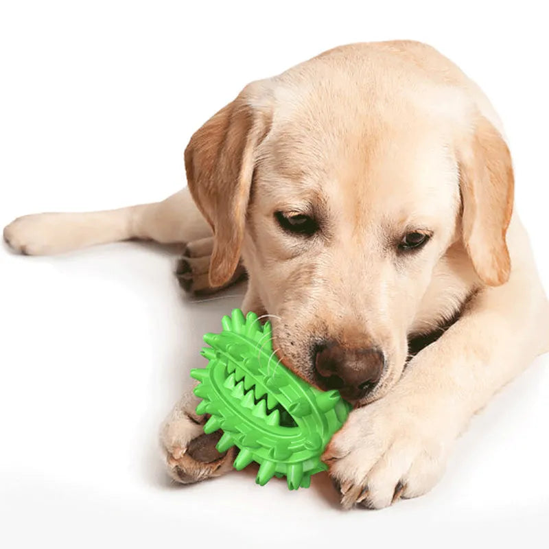 Green cactus-shaped dog toothbrush toy for dental cleaning with textured bumps and channels