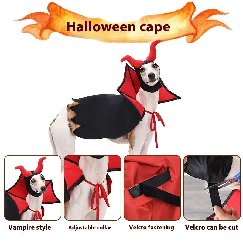 Black vampire costume for pets with cloak and hat for Halloween