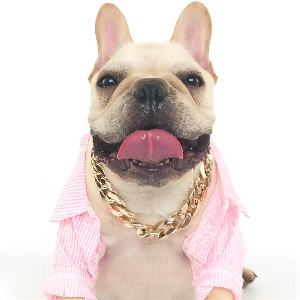 Gold colour chain dog collar with geometric plastic design for small to medium sized pets