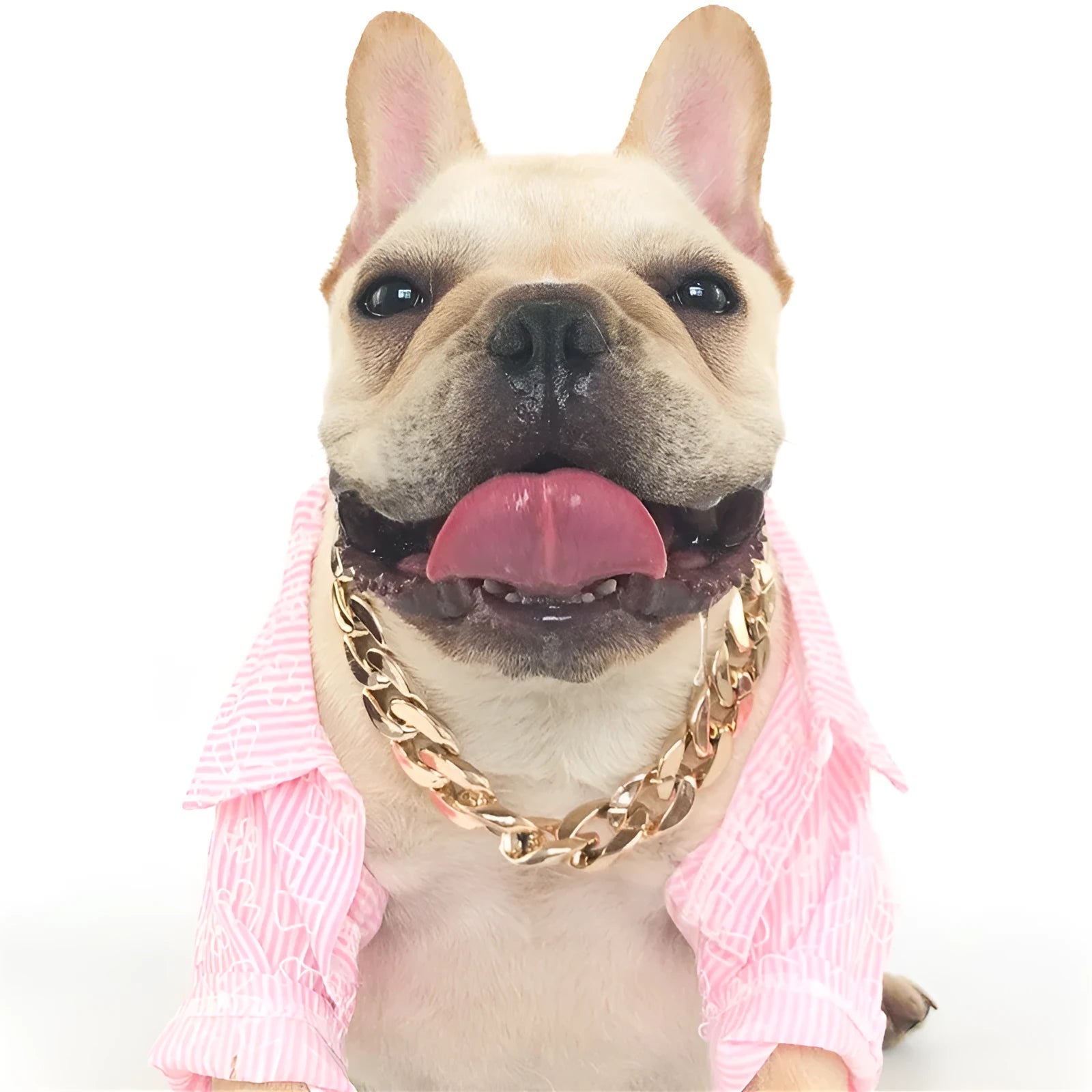 Gold colour chain dog collar with geometric plastic design for small to medium sized pets