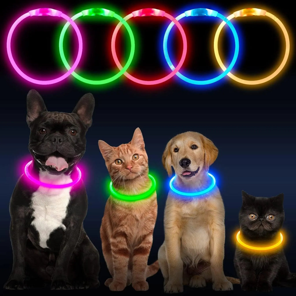 USB rechargeable LED dog safety collar showing blue illuminated band with adjustable 70cm length