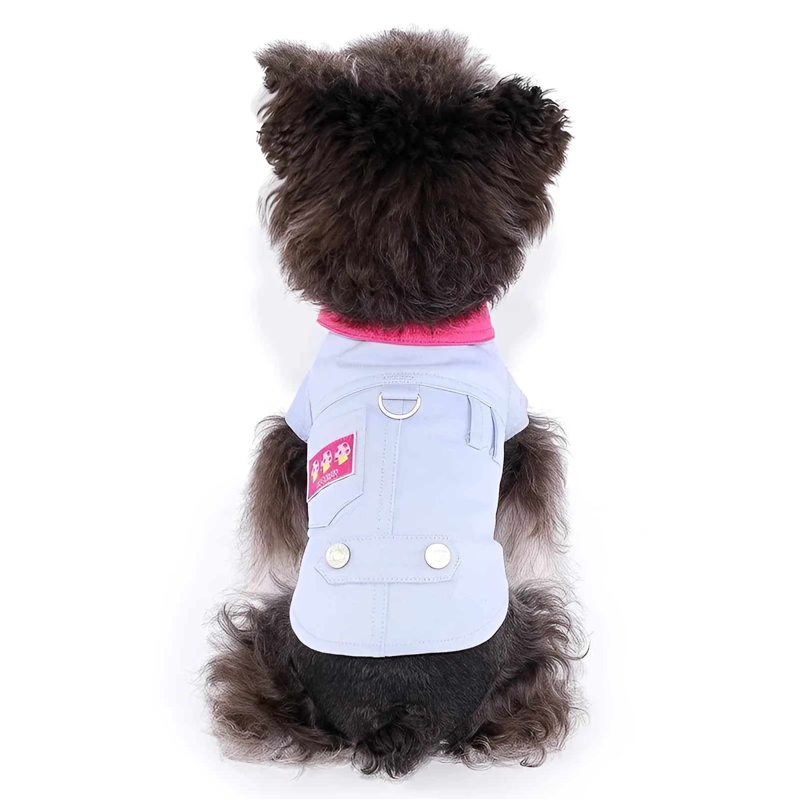 Blue and purple polyester dog harness with front traction ring on small dog