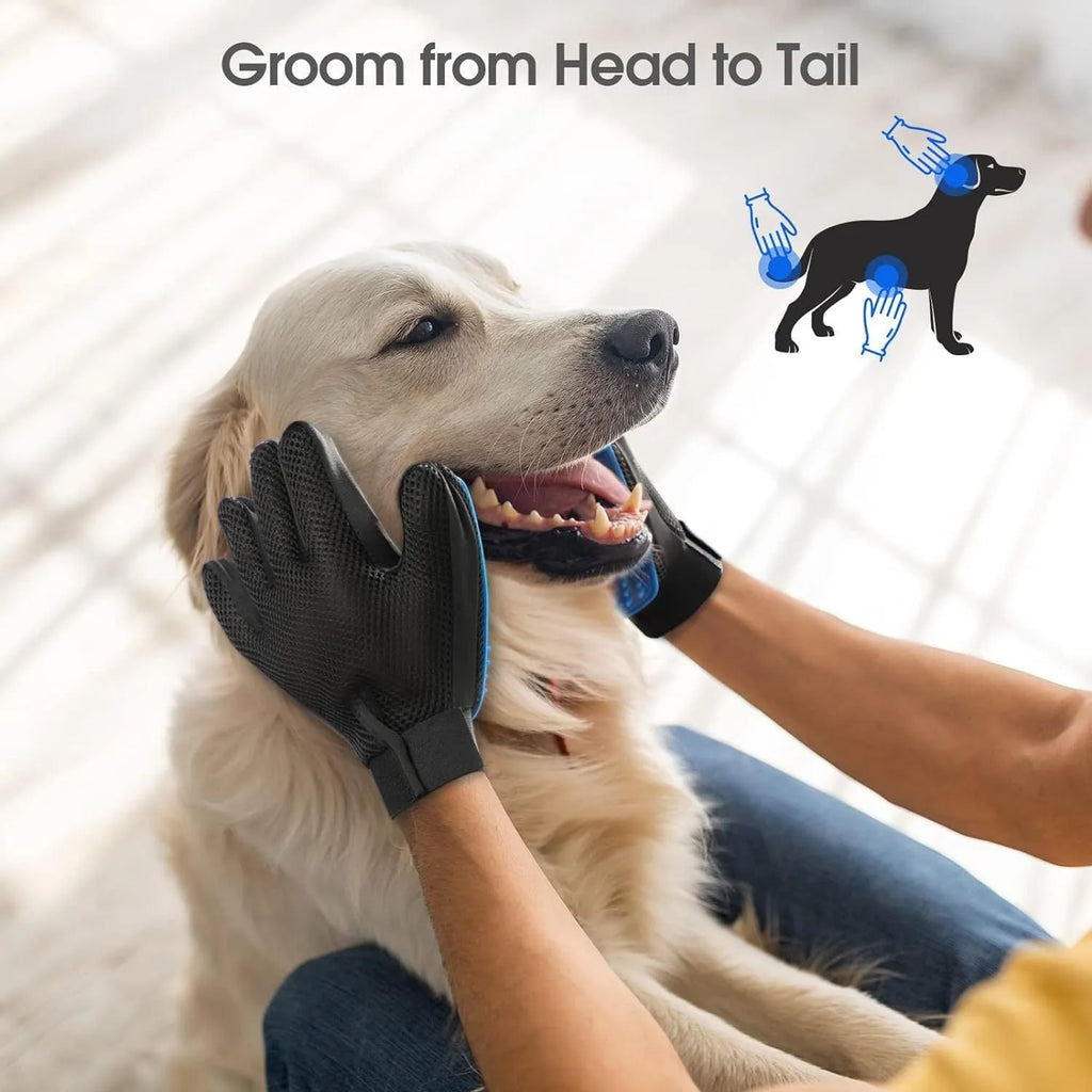 Blue pet grooming gloves with silicone tips for dog cat horse hair removal