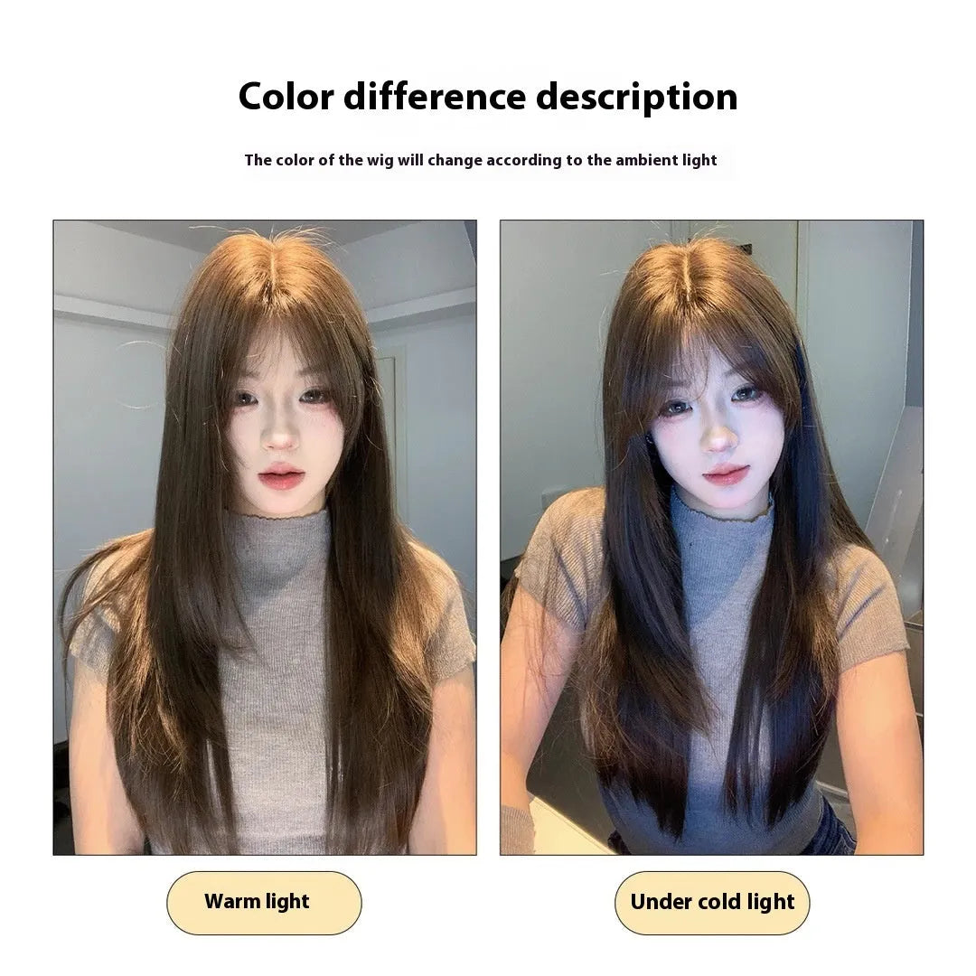 Ladies long straight layered cold brown wig made from high temperature fibre