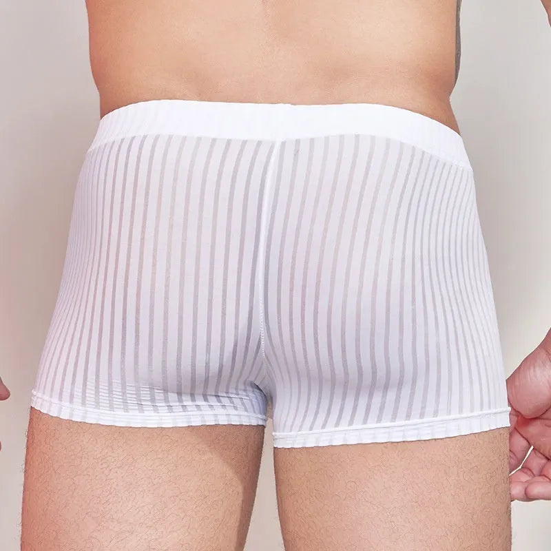 Men's striped underwear in thin transparent nylon fabric showing black, white and dark grey colour options