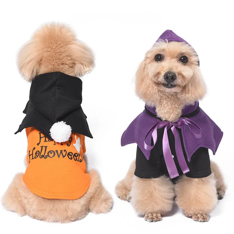 Black and orange Halloween pumpkin dog sweater and matching shawl set on a model dog.