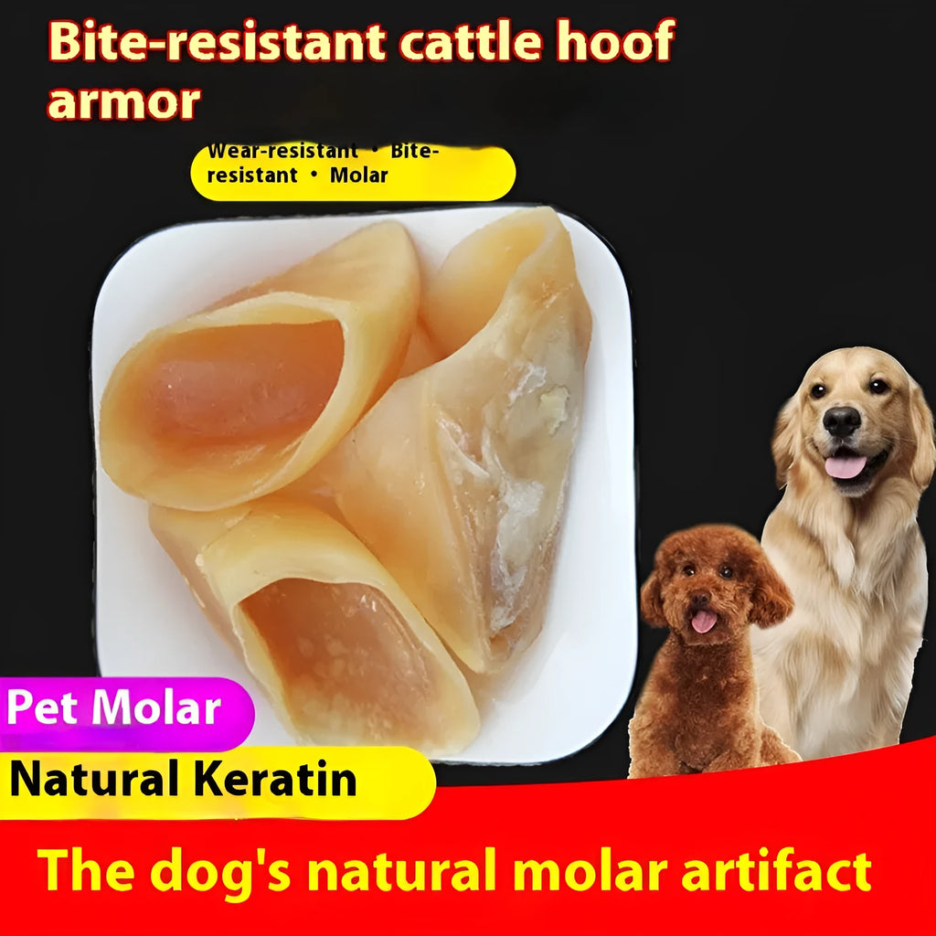Cowhide dog chew snack in hoof shell colour, a grinding rod for small and large breeds.