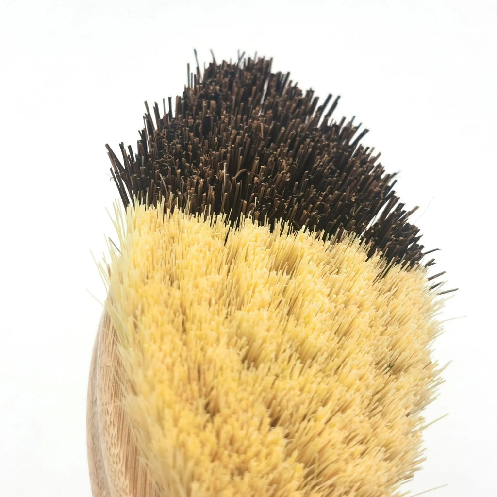 Bamboo vegetable brush with two-tone painted finish and oval shape for fruit and vegetable cleaning