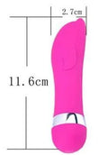 Six styles of realistic mini dildos for women including vaginal and anal plug options