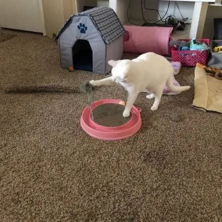 Blue circular cat scratcher with ball track and replaceable cardboard scratching centre