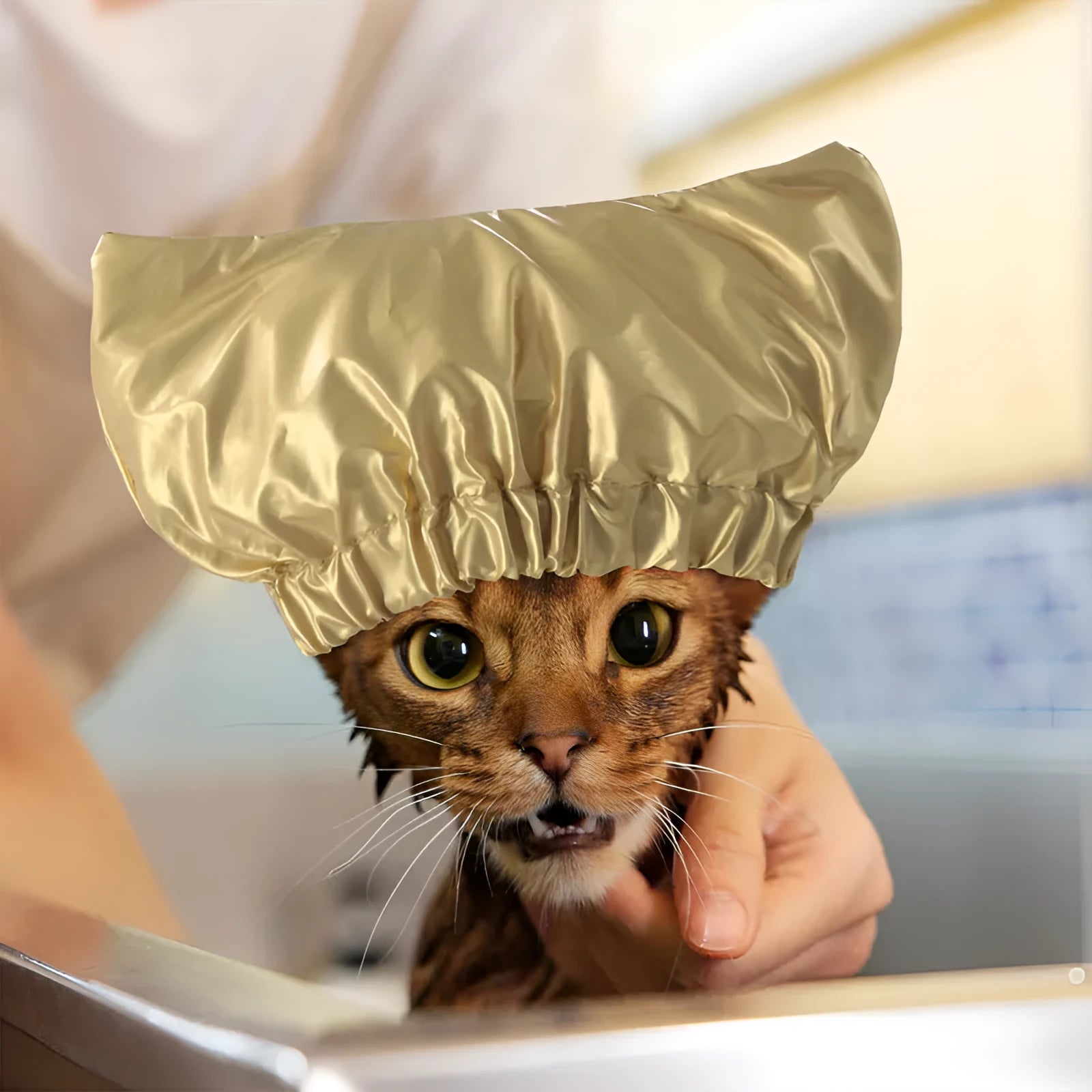 Silver pink gold waterproof adjustable shower cap for dogs and cats on a non-woven fabric.