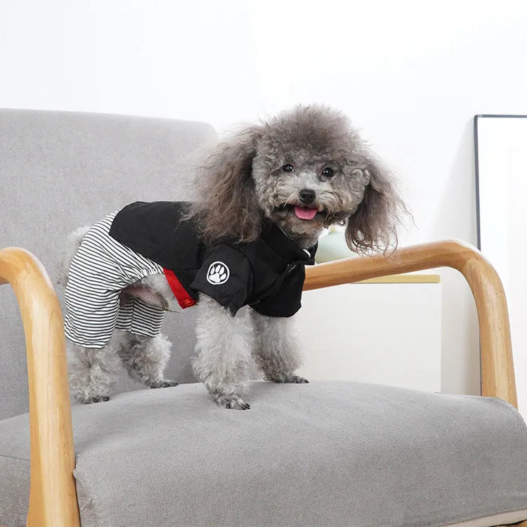 Cotton poodle dog clothes in skirt and four-foot pants styles for spring and summer wear