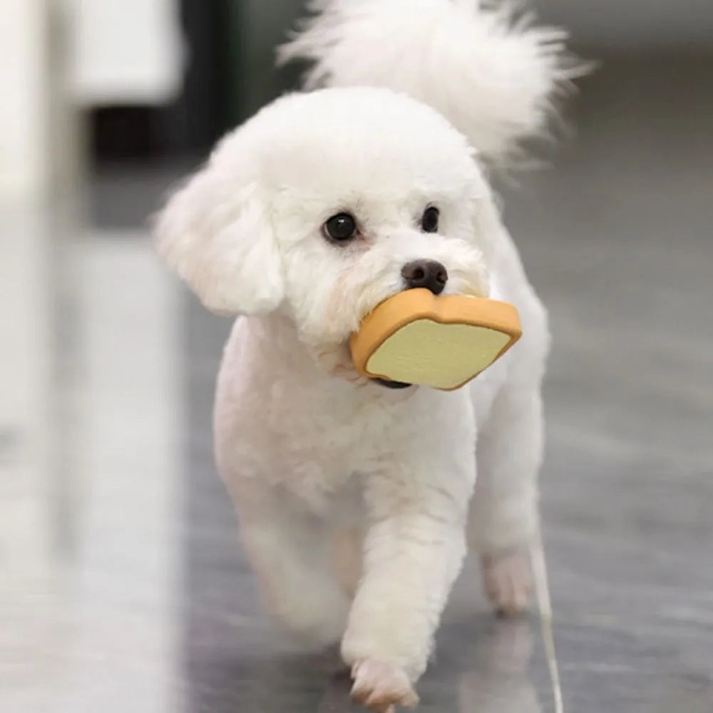 Cartoon patterned latex dog chew toy in egg bread shape with squeaker