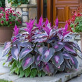 OPP package containing 50 coloured leaves jade barrettes seed pellets for potted gardening