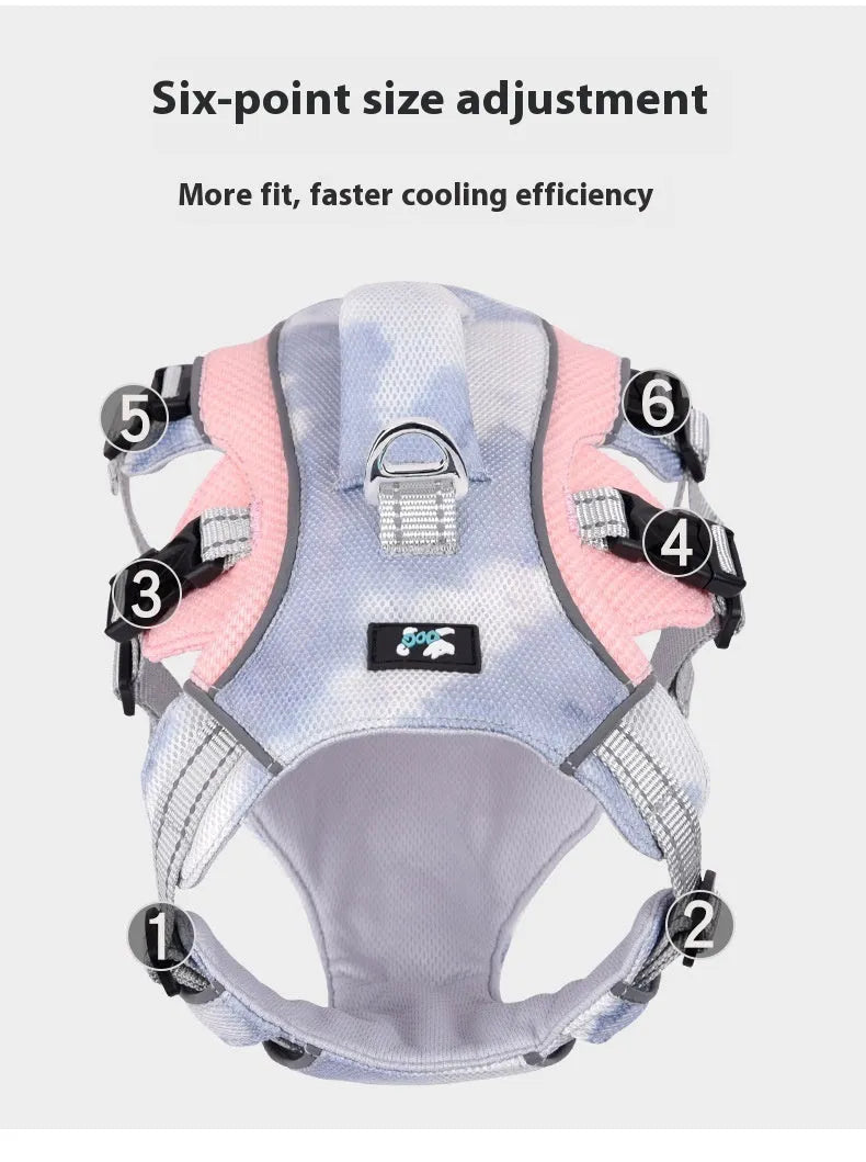 Reflective light blue dog chest strap shown on a dog for size and fit.