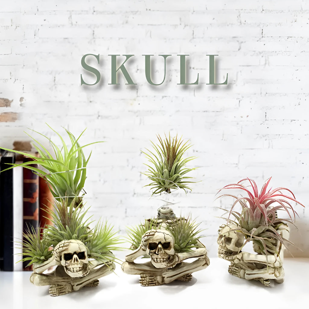 Resin Gothic skull bracket holding Tillandsia air plant with iron component, measuring 7x8x12.5cm