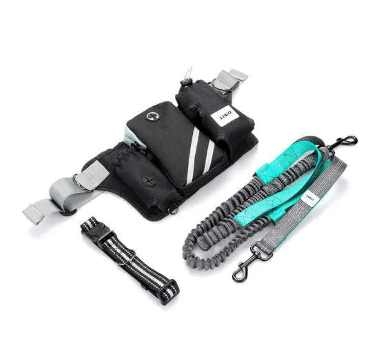 Black nylon dog walking waist bag set with leash and collar for hands-free outdoor training