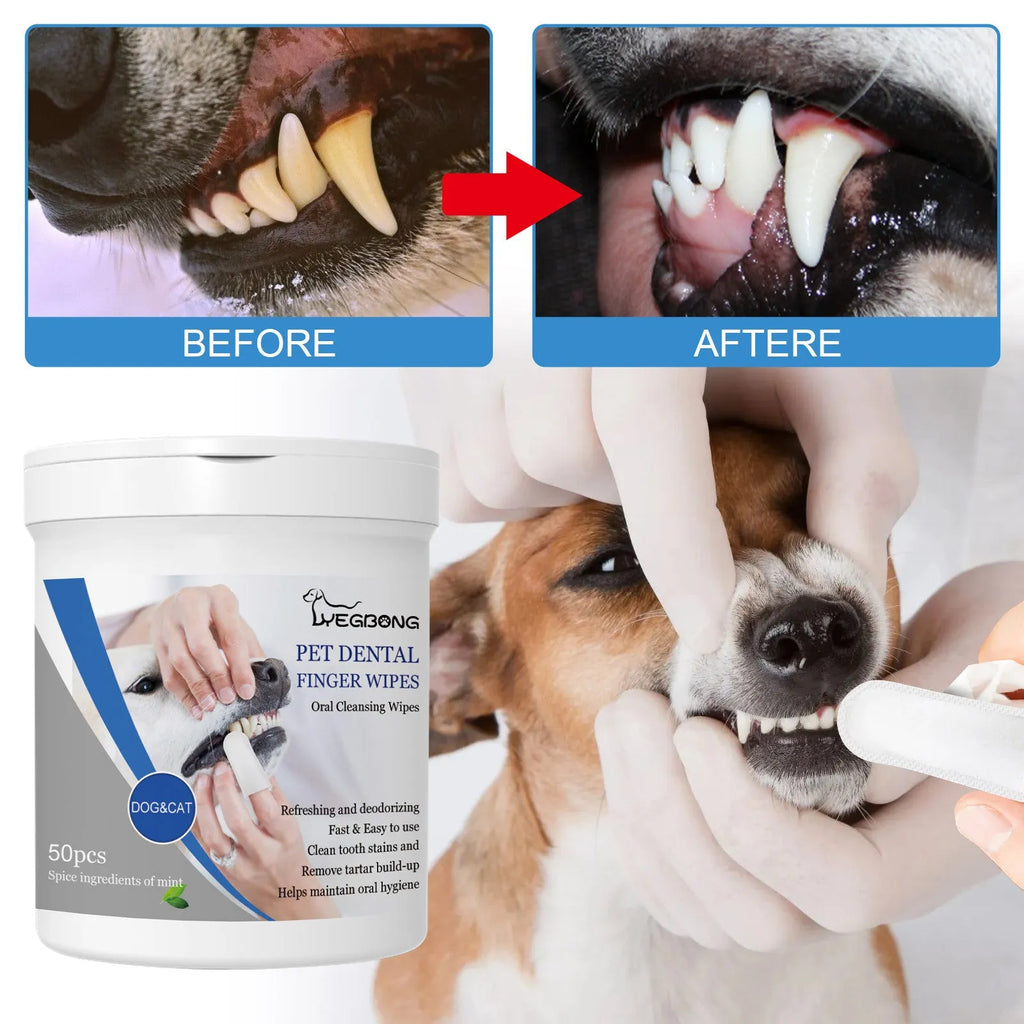 Canister containing 50 disposable finger stall wipes for dog teeth cleaning and oral care