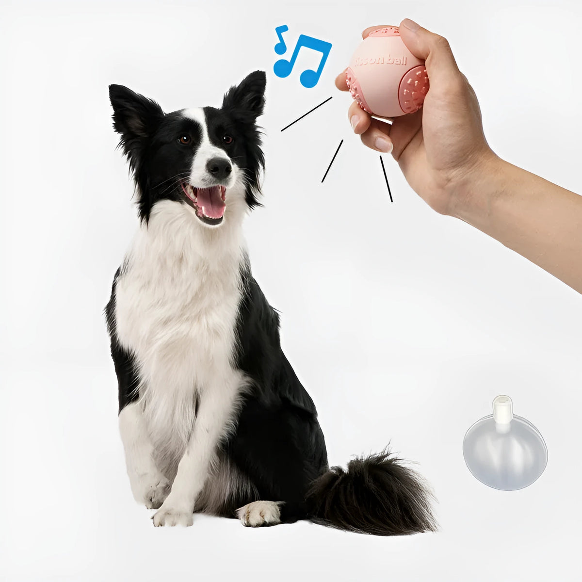 Green and pink interactive rolling ball dog toy with 64mm diameter