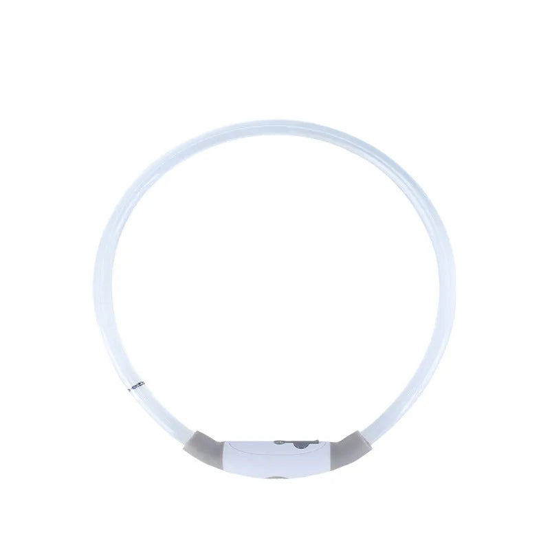 USB rechargeable LED dog safety collar showing blue illuminated band with adjustable 70cm length