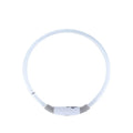 USB rechargeable LED dog safety collar showing blue illuminated band with adjustable 70cm length