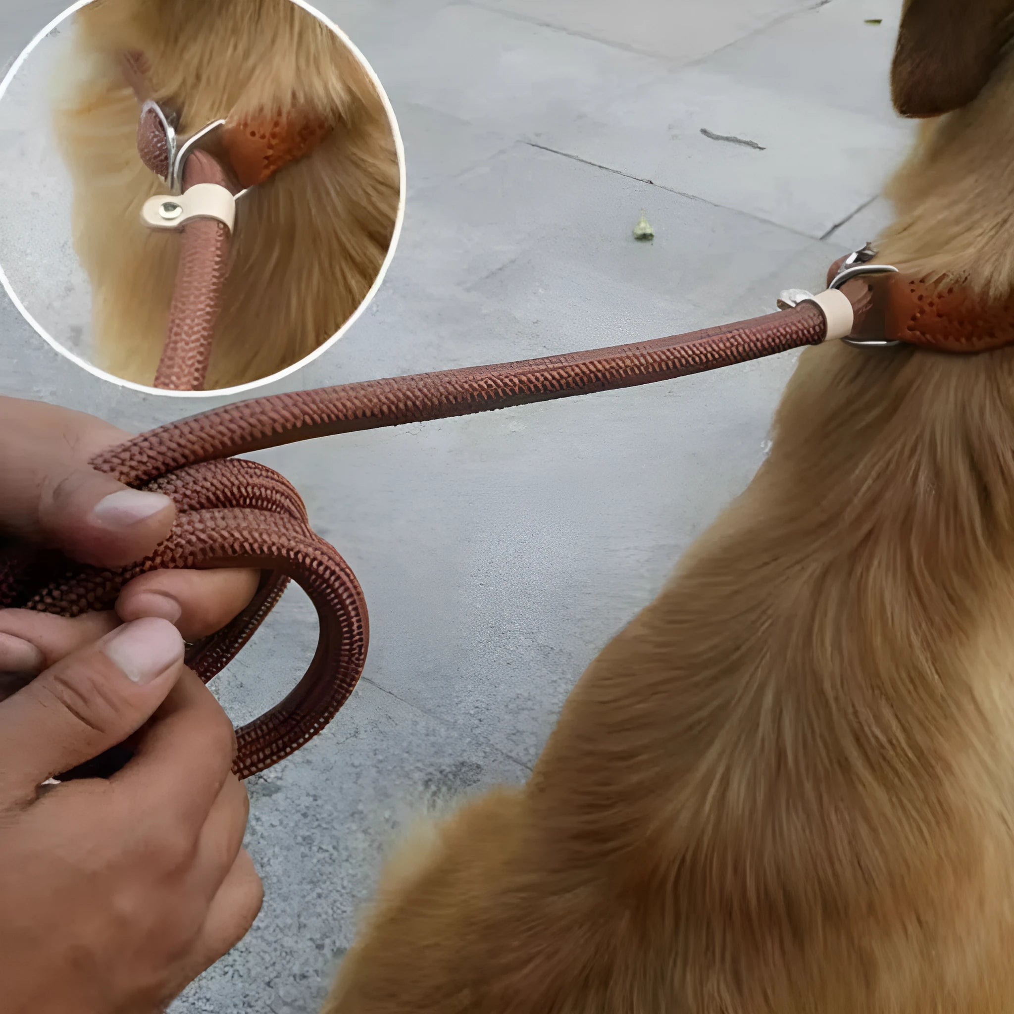 Brown nylon dog leash with P chain attachment measuring 2.1 metres with rope hand holding section