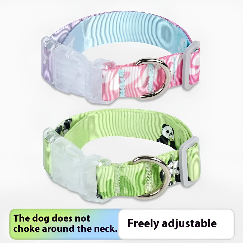Adjustable nylon dog collar with cartoon gradient pattern in green colour options.