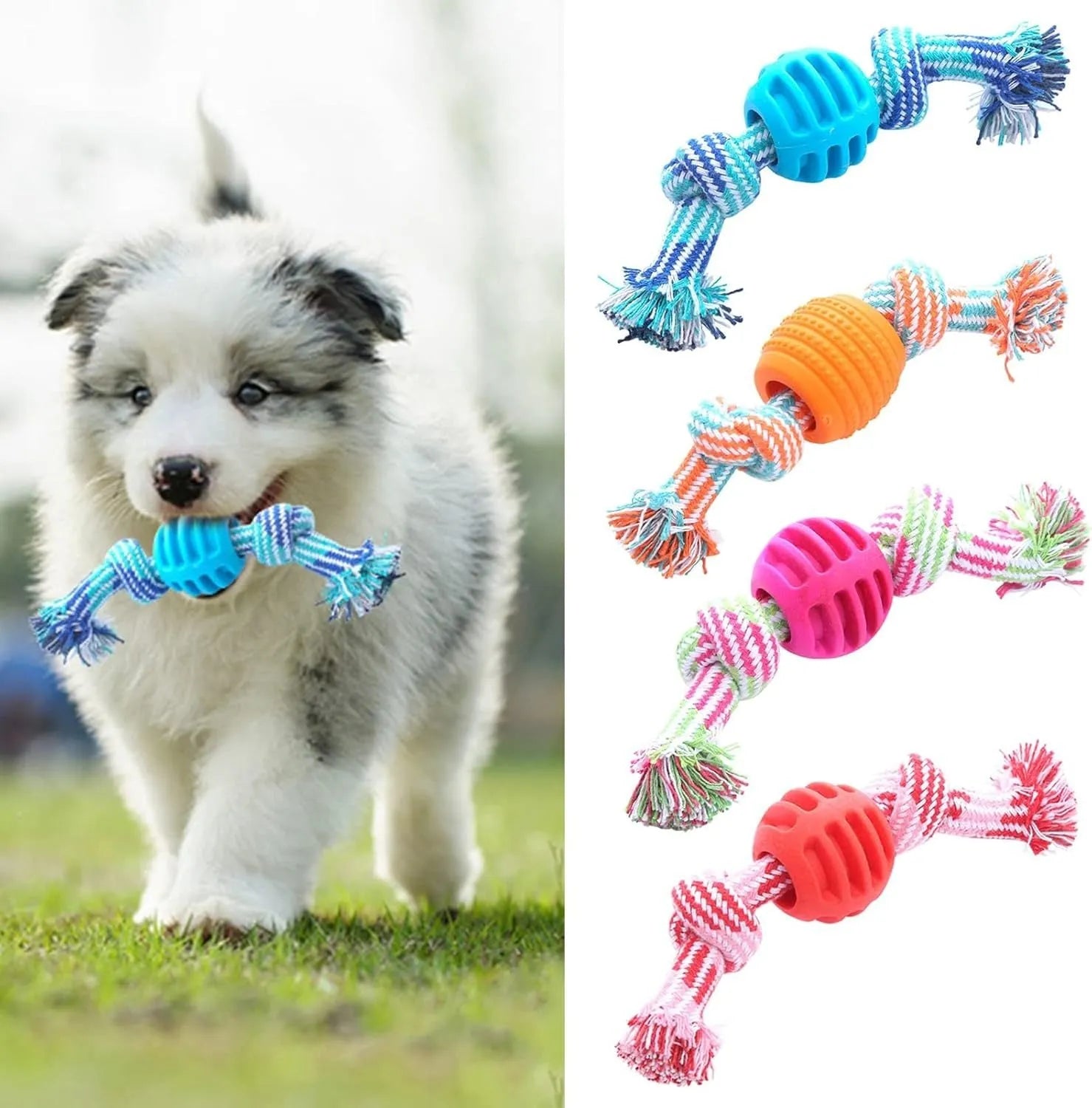 Blue and rope dog dental chew toy for teeth cleaning and interactive play