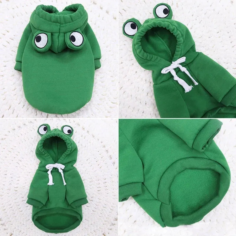 Green frog costume hoodie on a small dog, showing the hood and zip front.