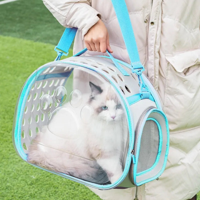 Hard EVA transparent space capsule cat backpack in large 42cm size with grass green colour option