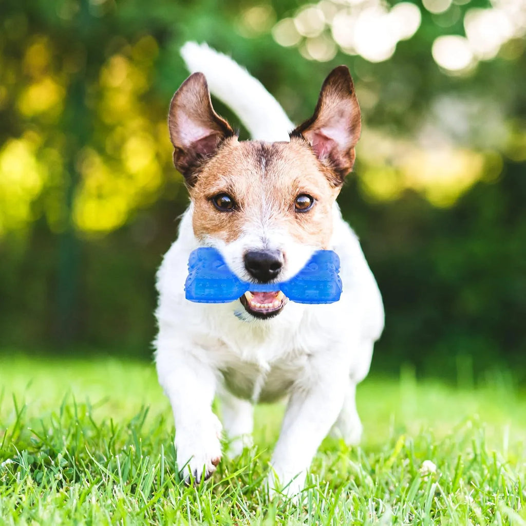 Freezable cooling chew toy for dogs and puppies in bone and circle shapes
